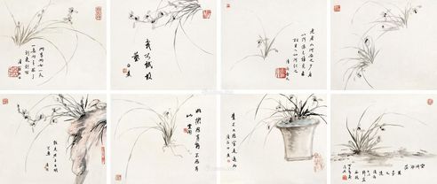 白蕉 兰花册