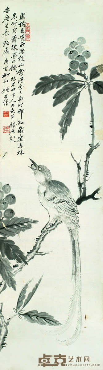 姚石倩 枇杷小鸟 110×31
