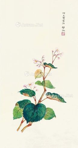 潘静淑 花卉