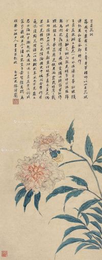 骆绮兰 芍药