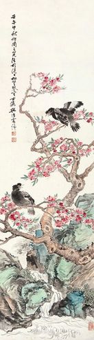 樊浩霖 桃花八哥
