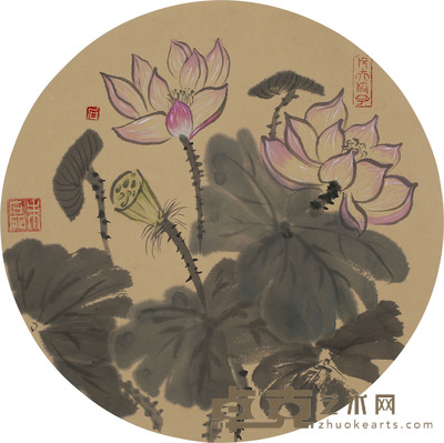 朱磊 荷花 