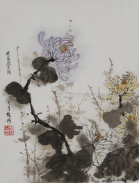 钱冉 花卉