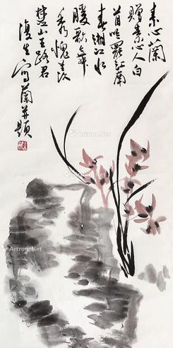 白蕉 兰草