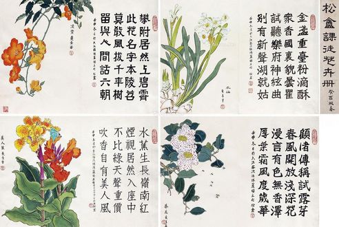 叶哲豪 花卉