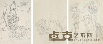 杜显清 花卉动物速写稿 38×29cm×8