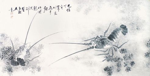 吴青 水藻龙虾