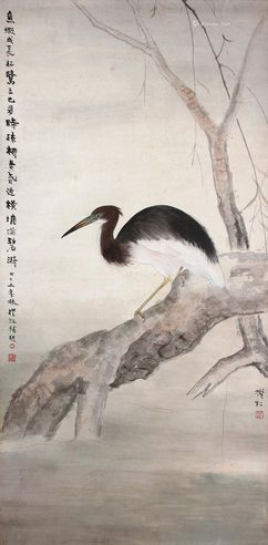 李抚虹 柳鹭