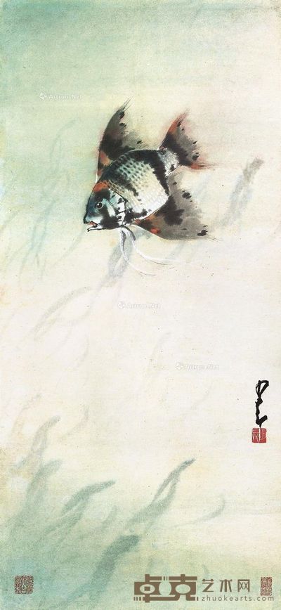 赵少昂 鱼乐图 84×39cm