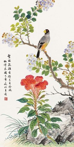 王道 花鸟