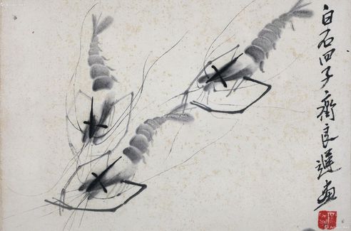 齐良迟 虾