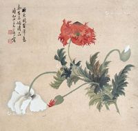 汤世澍 花卉