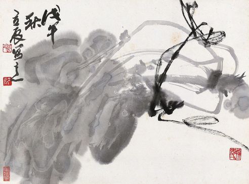 张立辰 白菜