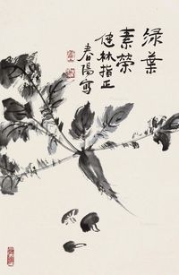 霍春阳 绿叶素荣