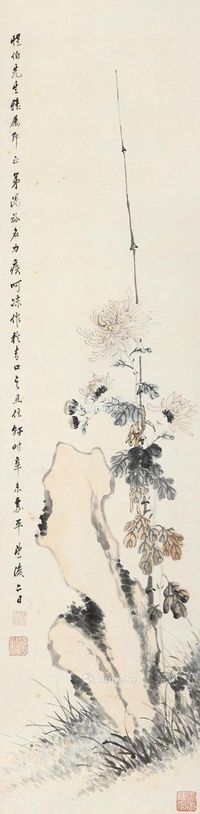 汤禄名 菊石