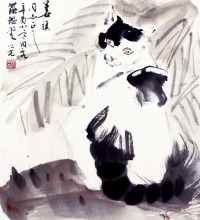 杨之光 猫