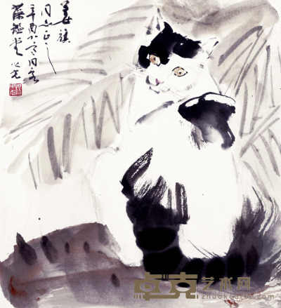 杨之光 猫 28×23cm 约0.6平尺