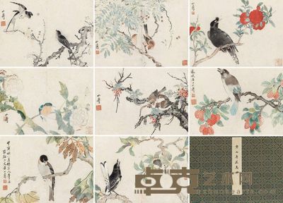 黄山寿 花鸟 23×32cm×8