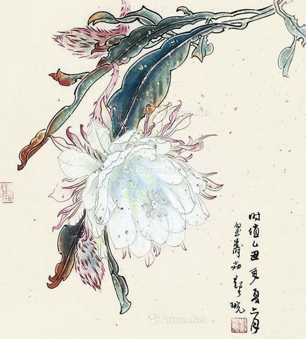 郑乃珖 花卉