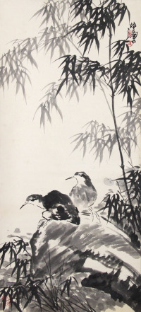 卢坤峰 鸟
