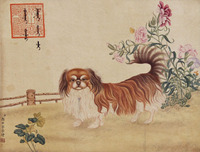 郎世宁 犬