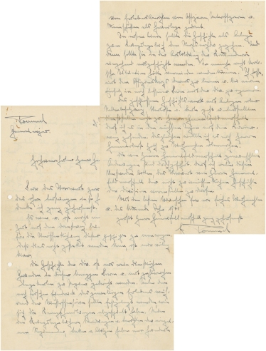 隆美尔 致德国陆军元帅克卢格亲笔信
