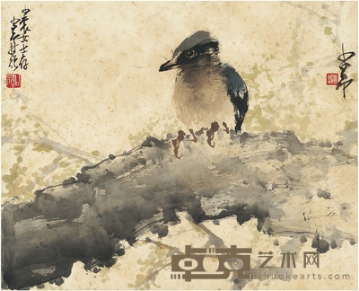 赵少昂 栖禽图 36×29cm