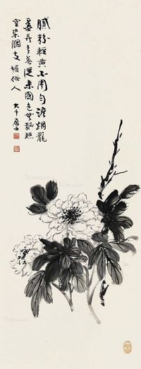 张大千 花卉