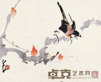 赵少昂 花鸟 29×37cm