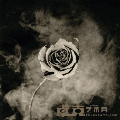 罗伯特·梅普勒索普 迷雾中的玫瑰 11.6×11.5cm
