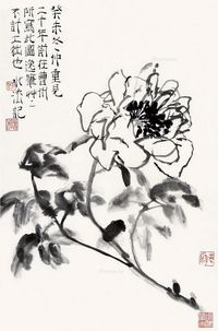 何水法 芍药