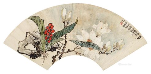 赵浩公 花卉