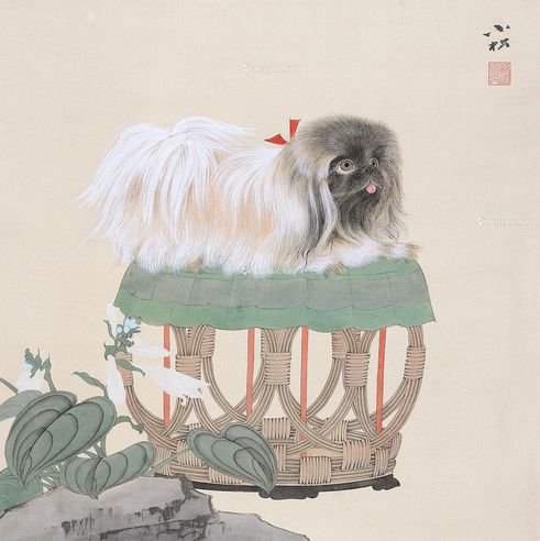 苏小松 玉簪京叭犬图