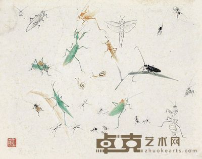 草虫 镜片 设色纸本 28.5×36cm