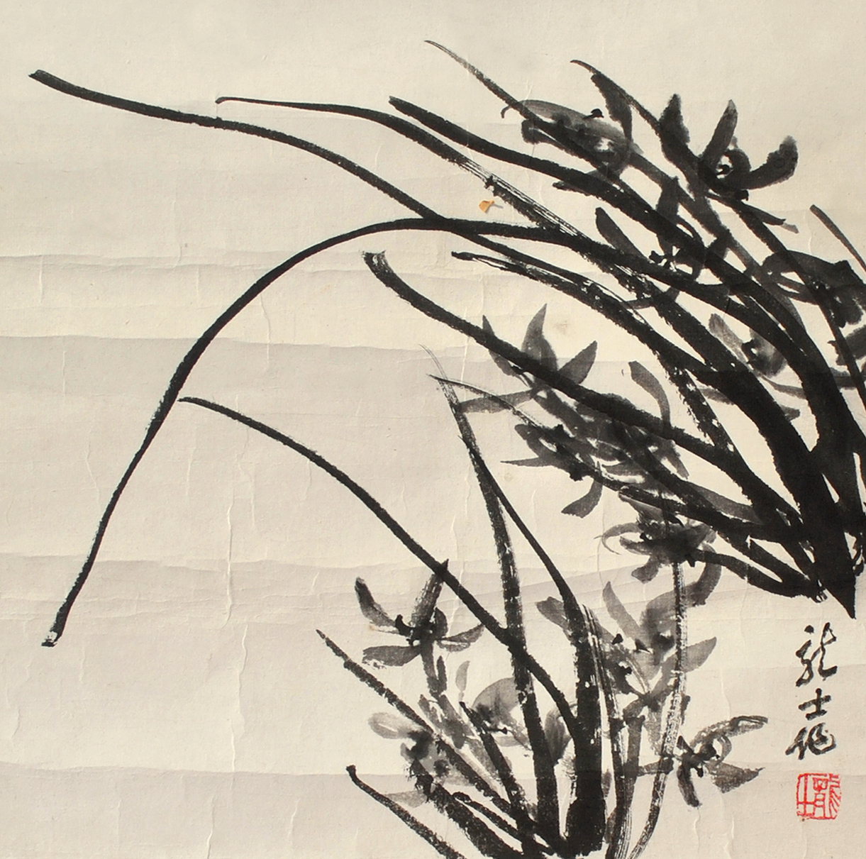 萧龙士 兰草