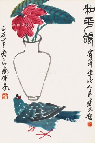 齐良迟 和平鸽