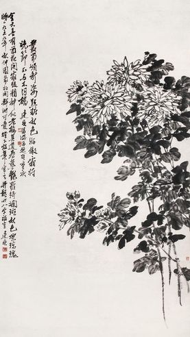 冯建吴 菊花