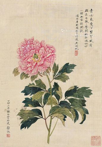 潘静淑 红粉幽香