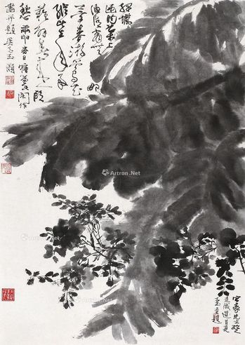 吴灏 花卉