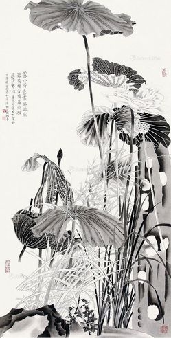 莫晓松 荷花