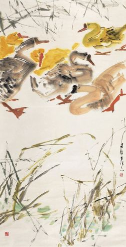 陈文希 鸭