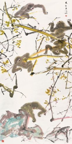 陈文希 猿