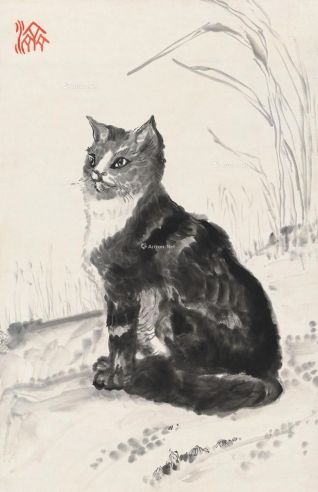 王济远 猫