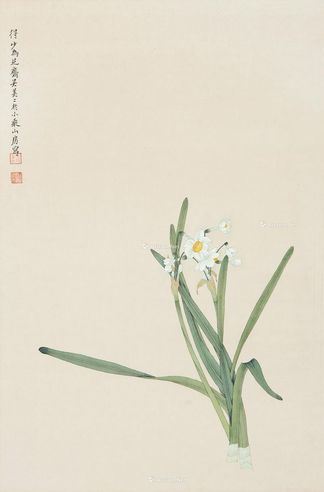 吴美美 兰花