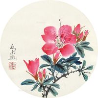 乔木 杜鹃花