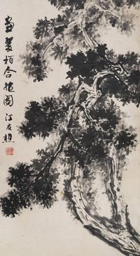 江友樵 柏树