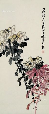 鲍娄光 菊花