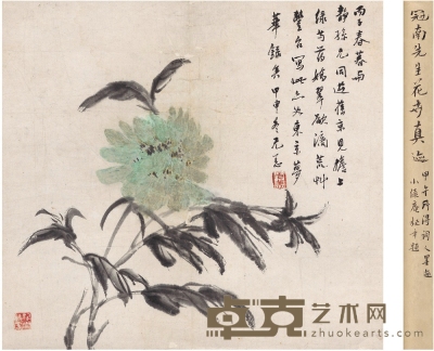 杨冠南 芍药图 39.5×36cm