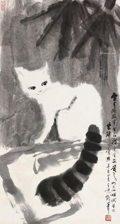 杨之光 猫