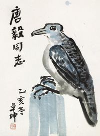 陈卓坤 鹰